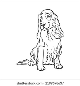 Beautiful Cocker Spaniel line art,Bear sketch,vector art,outline drawing illustration