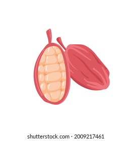 Beautiful cocoa beans isolated on white background. Vector illustration.