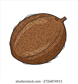Um belo design de vetor de ilustração de coco