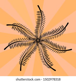 Beautiful coconut leaf pattern. Colorful vector drawing