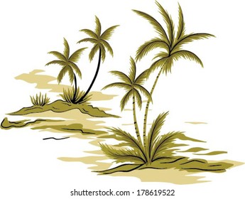 beautiful coconut palm tree. vector isolated 