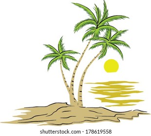 beautiful coconut palm tree. vector illustration
