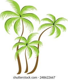 Beautiful coconut trees.
