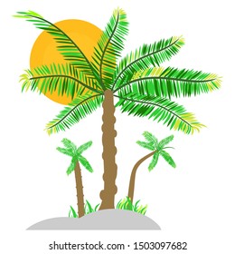 beautiful coconut trees and sun against a white background