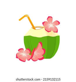 beautiful coconuts tropics summer drawing