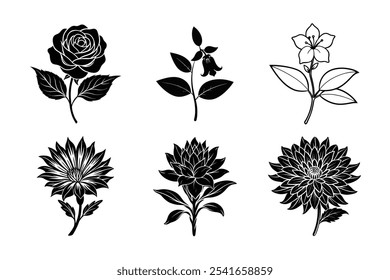 A beautiful collection of 6 flower vector illustrations featuring detailed designs of Rose, Cuphea Hyssopifolia, Asters, Chicory, and Indian Paintbrush flowers.