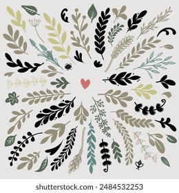 Beautiful collection of decorative, ornamental branches hand drawn style vector