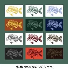 Beautiful collection of differently colored carp fish. Hand drawn and traced.