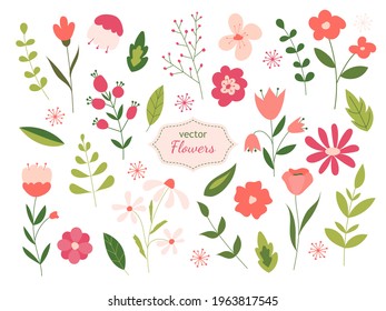 Beautiful collection of flowers and leaves. Vector illustration