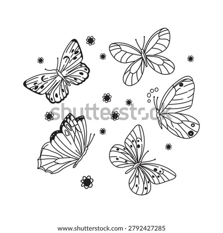 Beautiful Collection Of Hand Drawn Butterfly Outline For Coloring Page Vector Illustration Design