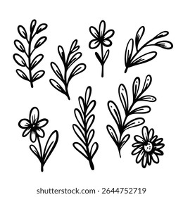 A beautiful collection of hand-drawn floral elements perfect for various artistic projects and designs