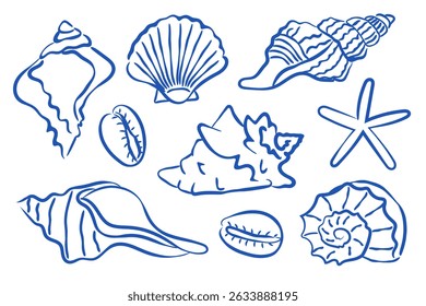 A Beautiful Collection of HandDrawn Illustrations Featuring Seashells and Starfish