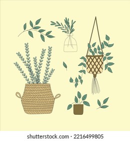 A beautiful collection of houseplants in macrame and baskets. Hand drawn vector doodle