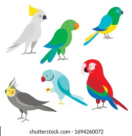 Beautiful collection with parrots on white background.Cute birds. Macaw, сockatiel,alexandrine parrot,cockatoo,song parrots,eclectus parrot.