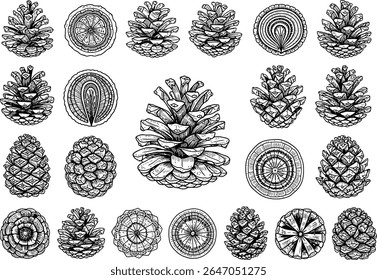 Uma bela coleção de ilustrações de pinecone com desenhos intrincados e perspectivas variadas mostrando as maravilhas da natureza em preto e branco detalhados