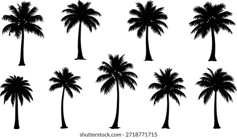 A beautiful collection of various palm tree silhouettes perfect for tropical and summer themed designs