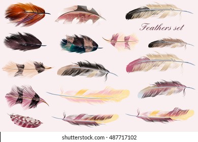 Beautiful collection of vector feathers in pink soft colors. Fashion illustration