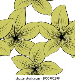 Beautiful collection with vector flowers for decorative design Vintage vector flowers, great design for any purposes.Seamless pattern. 