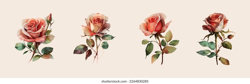 Beautiful collection of watercolor roses. Red rose flower, green leaves. Vector design for greeting cards or invitations. Wedding vector invite card, watercolor designer element set.