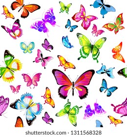 beautiful color butterflies, set,pattern, isolated  on a white