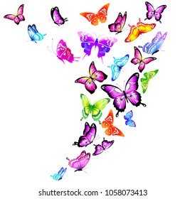 beautiful color butterflies,set, isolated  on a white