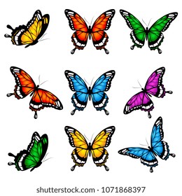 beautiful color butterflies,set, isolated  on a white