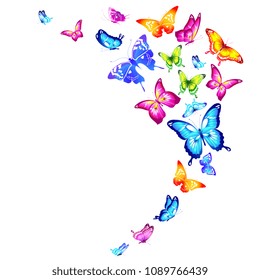 beautiful color butterflies,set, isolated  on a white