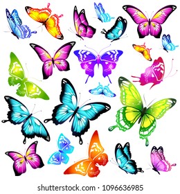 beautiful color butterflies,set, isolated  on a white