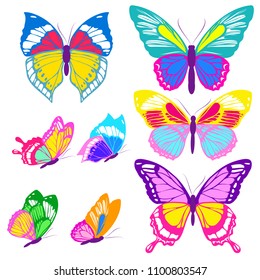 beautiful color butterflies,set, isolated  on a white