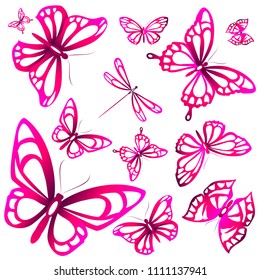 beautiful color butterflies,set, isolated  on a white