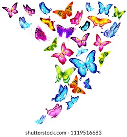 beautiful color butterflies,set, isolated  on a white