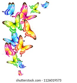 beautiful color butterflies,set, isolated  on a white