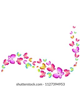 beautiful color butterflies,set, isolated  on a white