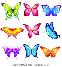 beautiful color butterflies,set, isolated  on a white