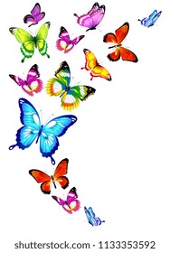 beautiful color butterflies,set, isolated  on a white
