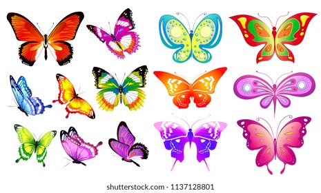 beautiful color butterflies,set, isolated  on a white
