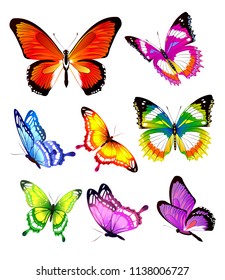 beautiful color butterflies,set, isolated  on a white