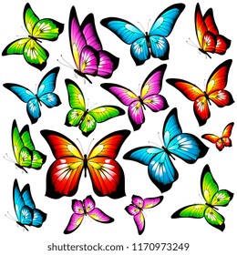 beautiful color butterflies,set, isolated  on a white