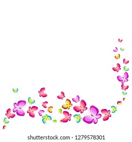beautiful color butterflies,set, isolated  on a white
