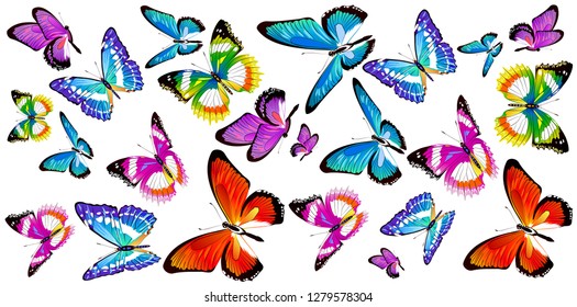 beautiful color butterflies,set, isolated  on a white