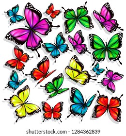 beautiful color butterflies,set, isolated  on a white