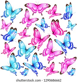 beautiful color butterflies,set, isolated  on a white