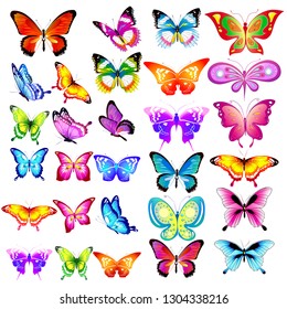 beautiful color butterflies,set, isolated  on a white