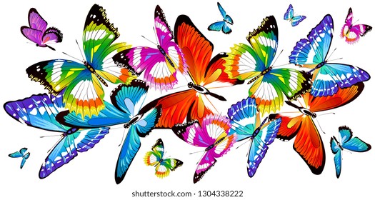 beautiful color butterflies,set, isolated  on a white