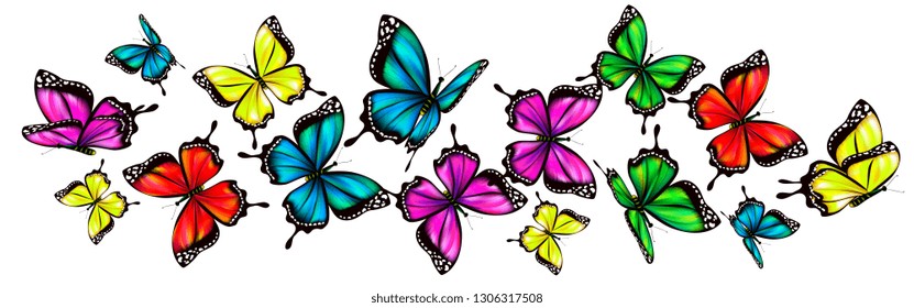 beautiful color butterflies,set, isolated  on a white