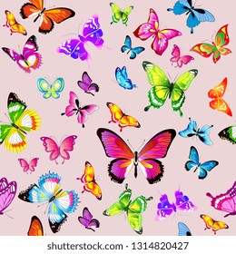 beautiful color butterflies,set, isolated  on a white