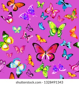 beautiful color butterflies,set, isolated  on a white