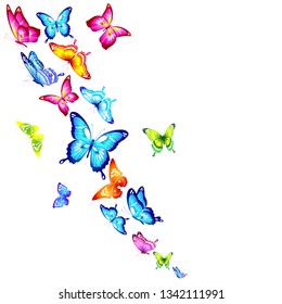 beautiful color butterflies,set, isolated  on a white