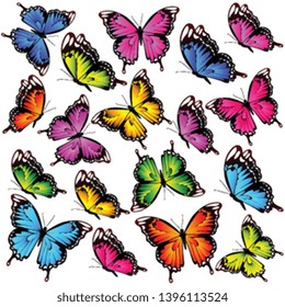 beautiful color butterflies,set, isolated  on a white