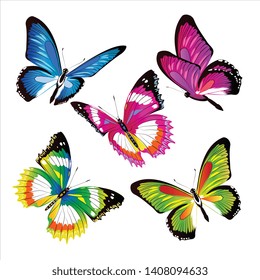 beautiful color butterflies,set, isolated  on a white